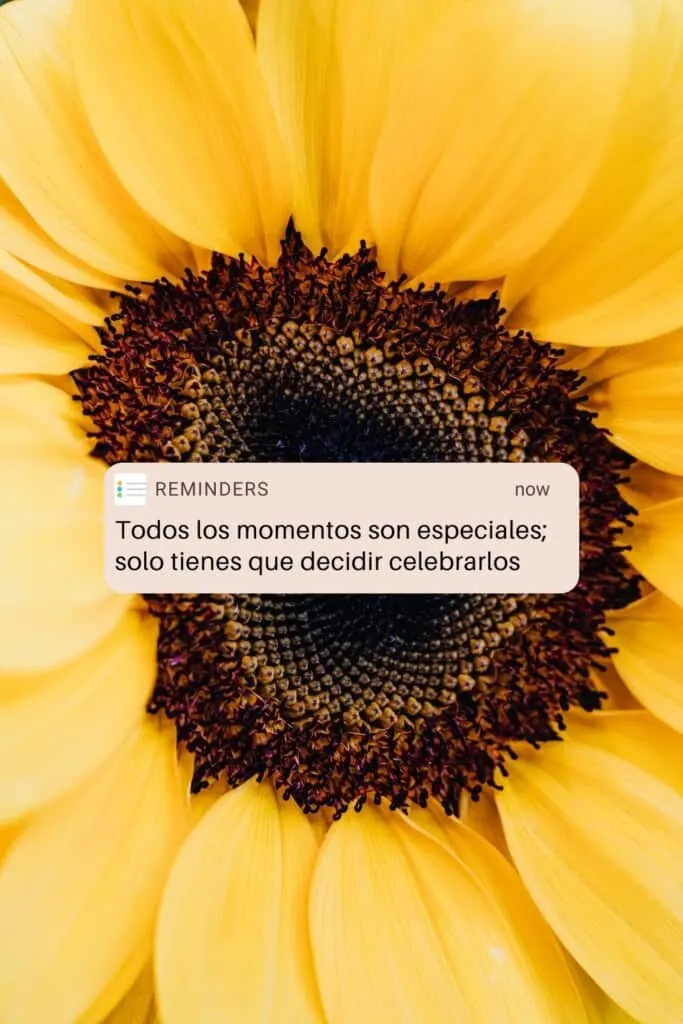 Todos los momentos son especiales; solo tienes que decidir celebrarlos, positive quotes in spanish