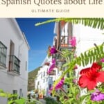 Are you looking for the best Spanish Quotes about Life? There's the ultimate list with inspirational Spanish quotes about friendship, love, and families. These also make perfect Spanish quotes for Instagram or romantic Spanish phrases for your beloved ones. Some of these Spanish quotes are funny, others make you think and are about life, in general, and how to make the best out of life. You can even save these Spanish quotes for tattoos. #spanishquotes #spanishquotesinspirational #spanish
