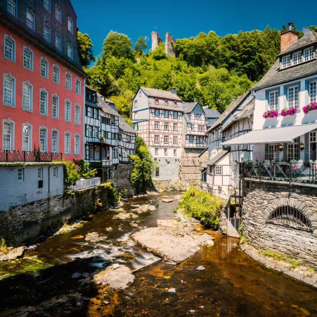 a river runs through a small town in Germany with buildings and trees