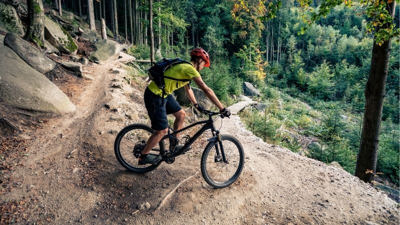 mountain bike trails in Wisconsin, Mountain biker riding on bike on forest dirt trail