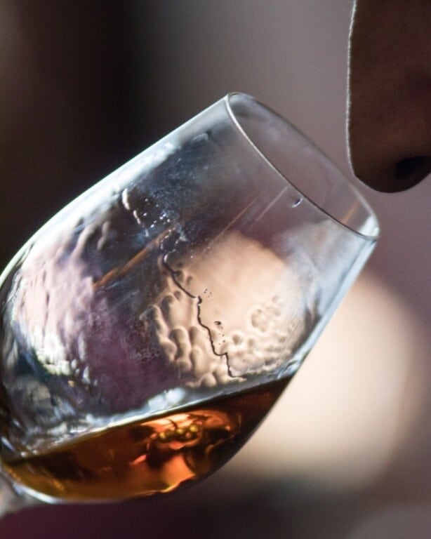 25 Best Spanish Wines (Beginner’s Guide) Paulina on the road