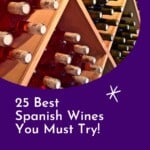 Are you looking for the best Spanish wines? This is an easy guide to the best wines from Spain. No matter whether you want to learn about Spanish red wines, Spanish white wines, or rosé wine from Spain. In this wine guide for beginners, you'll find all you need to know about Spanish wine. A special mention also goes to the sweet wines from Andalucia with its Pedro Ximenez wine, Montilla wine and Malaga wine. #malagawine #spanishwines #spanishredwine #spanishwhitewine #bestspanishwines