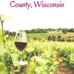 Hoping to visit the best wineries in Door County, Wisconsin? Here are the best insider tips for Door County wine tasting experiences and romantic getaways in Wisconsin. #Wisconsin #DoorCounty #DoorCountyWisconsin #WisconsinWineries #USATravel #Wineries #Distillery #RomanticGetaway #SturgeonBay #FishCreek