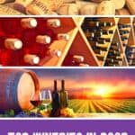 Hoping to visit the best wineries in Door County, Wisconsin? Here are the best insider tips for Door County wine tasting experiences and romantic getaways in Wisconsin. #Wisconsin #DoorCounty #DoorCountyWisconsin #WisconsinWineries #USATravel #Wineries #Distillery #RomanticGetaway #SturgeonBay #FishCreek