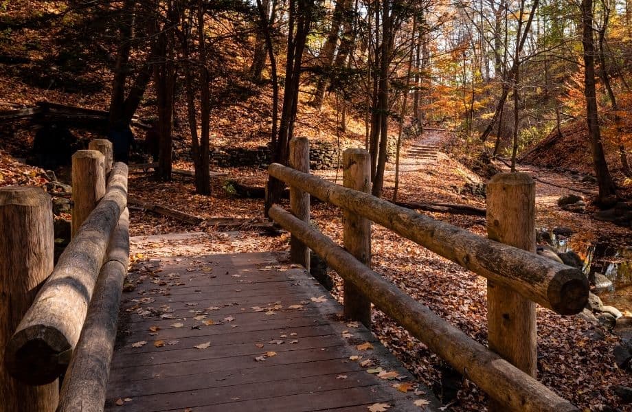 Fall activities in Milwaukee, wooden bridge in the forest connecting the seven bridges hiking trail