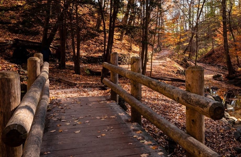 milwaukee fall colors, wooden bridge in the forest connecting the seven bridges hiking trail