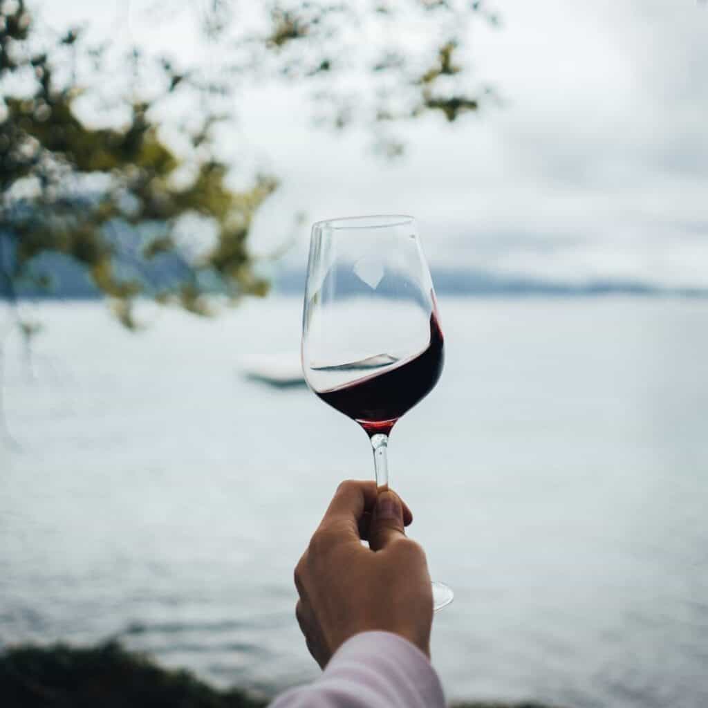 a hand holding a wine glass with red wine by the lake with the view of the trees and the land across