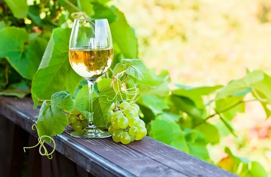 glass of white wine with green grapes on a railing with leaves at the back in madison, wisconsin