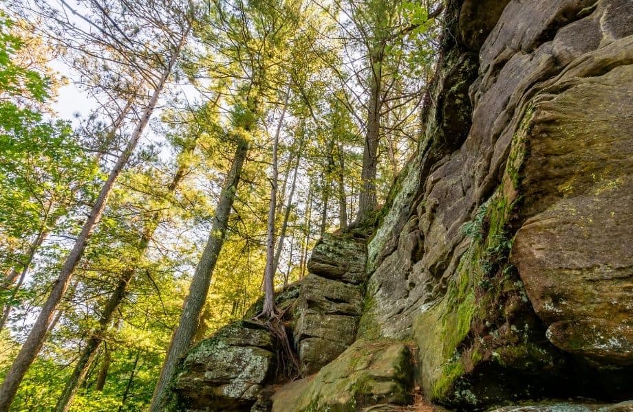 best hiking trails in Wisconsin Dells, trees and rock clearing at Echo Rock Trail Loop
