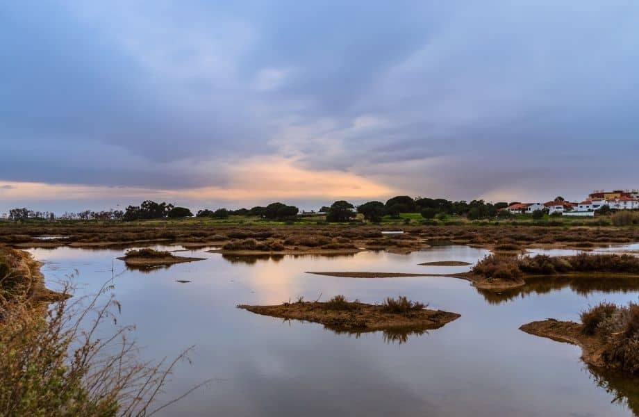 amazing things to do in algarve, the ria formosa lagoon at sunset with homes in distance