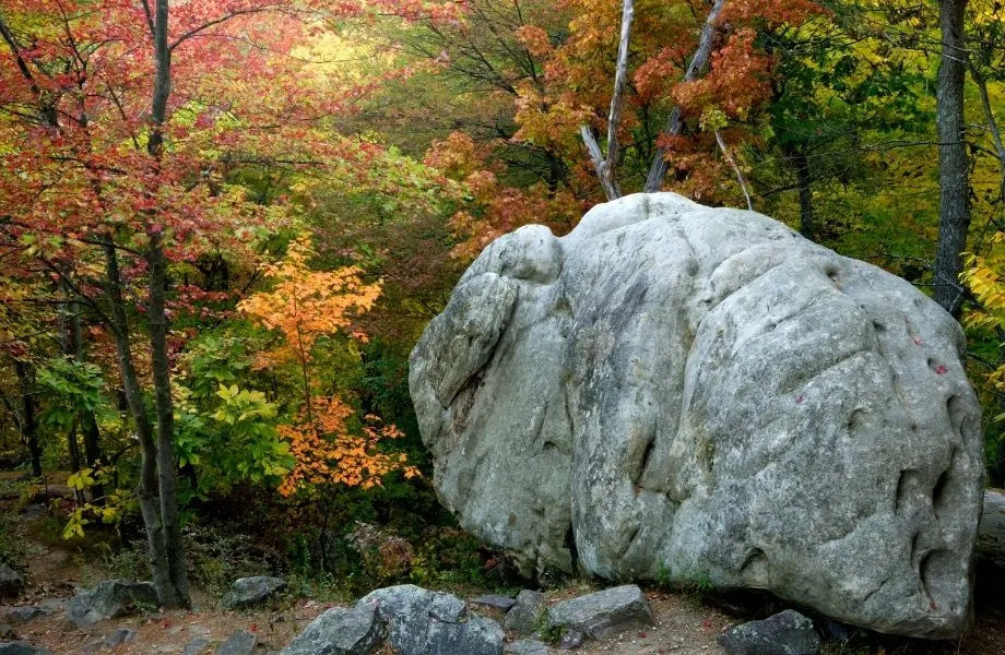 Fall hike in Wisconsin, large rock next to multicolored trees