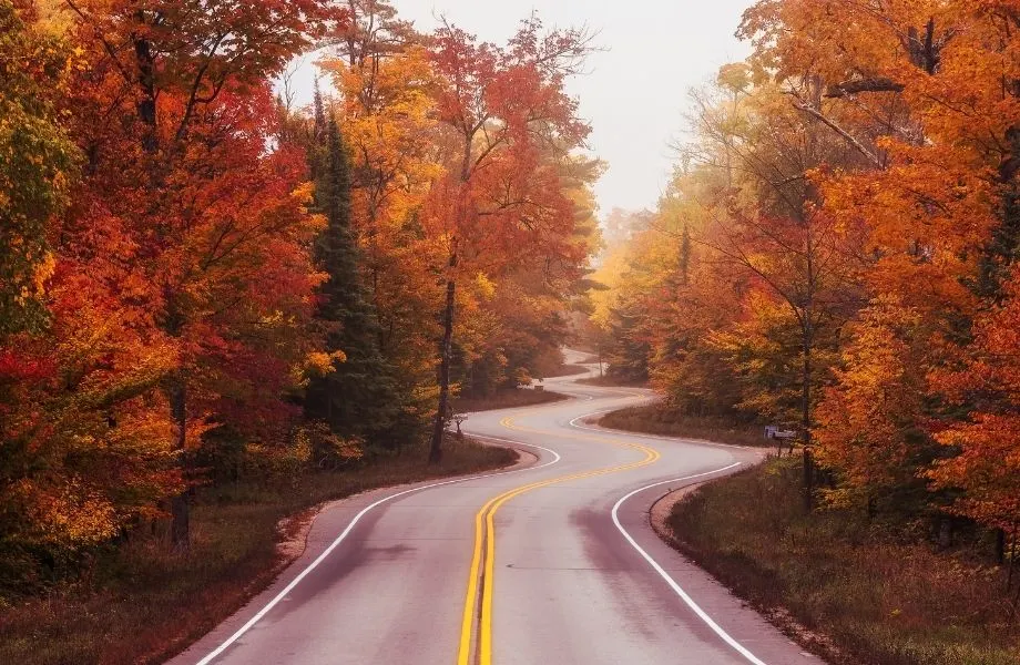 winding road in door county with fall leaves lining the road