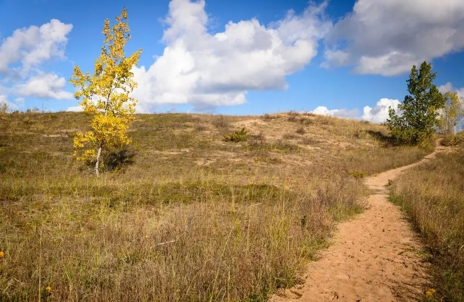 places to hike in southern Wisconsin, sandy path along the Kenosha Dunes Trail