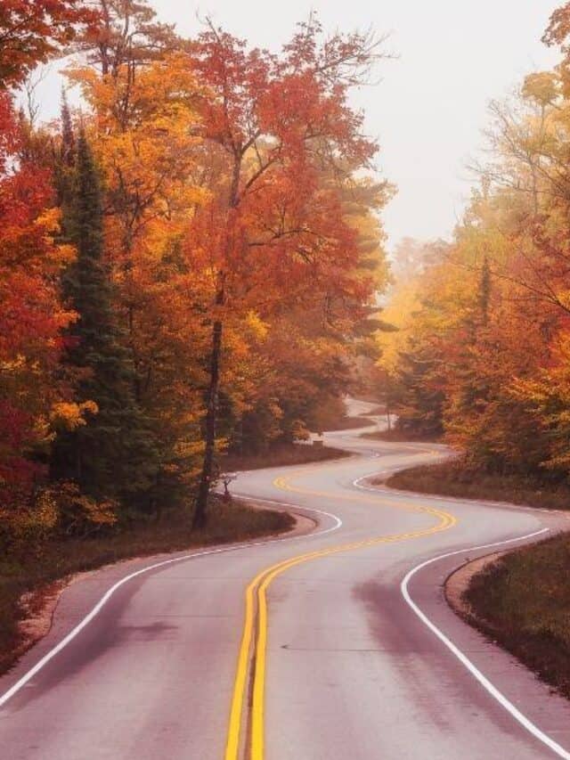 things to do in Door County in November, winding road in door county with fall leaves lining the road