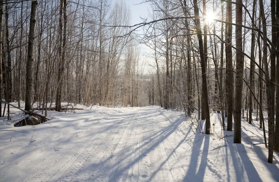 snowmobiling trails wisconsin, Snowmobile Trail at Midday
