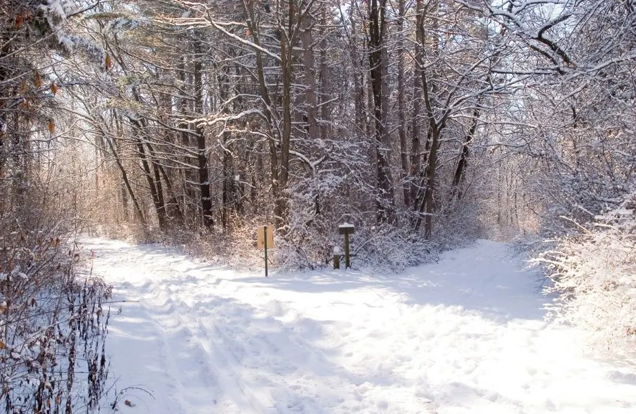 eagle river snowmobile trails, snowmobile trail with a fork in the road