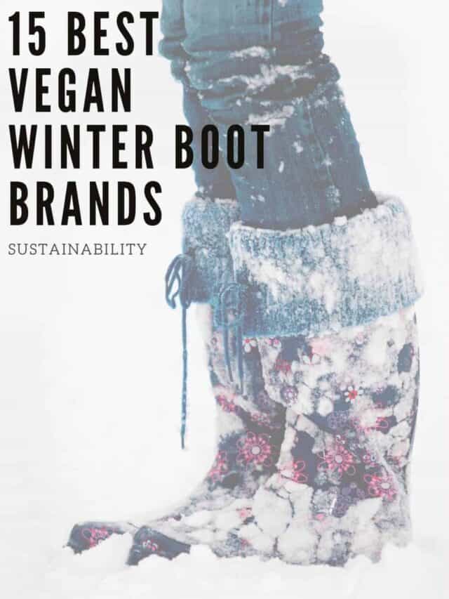 15 Best Brands for Vegan Winter Boots – Story