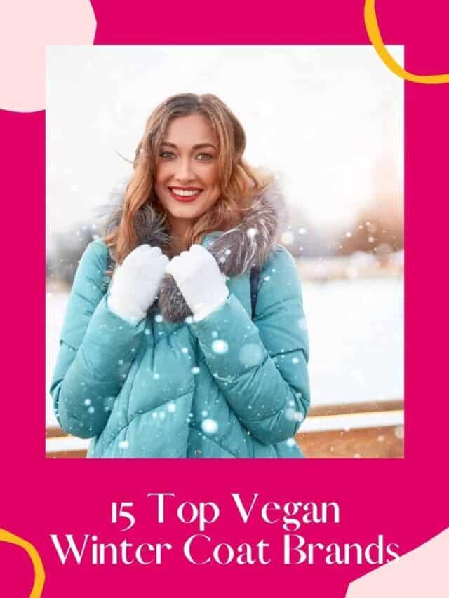 15 Best Brands for Vegan Winter Coats – Story