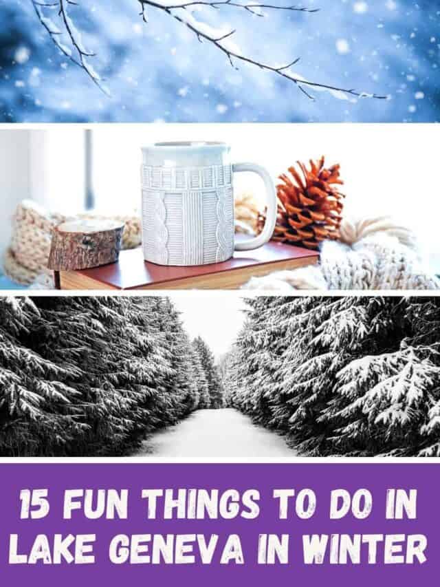 15 Fun Things to do in Lake Geneva in Winter Story Paulina on the road