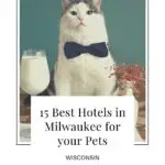 Are you going on vacation to Milwaukee and hoping to bring along your furry friend? Well, you're in luck because there are a lot of great hotels in Milwaukee that allow dogs, cats, birds, and more! The pet-friendly hotels in Milwaukee, Wisconsin provide amazing amenities for your pet liked treats and toys, and even comfy beds for them to sleep in. Milwaukee is also full of pet-friendly activities. #Milwaukee #Pets #PetFriendly #Dogs #Cats #Animals #Wisconsin #Cuddly #PetVacation #PetHotel