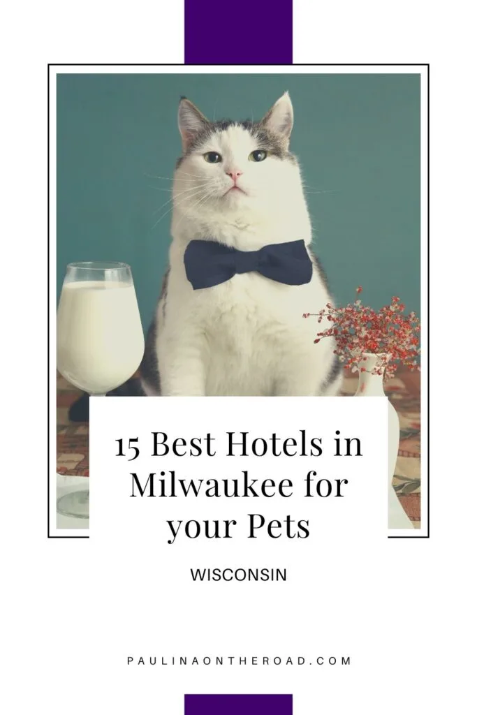 Are you going on vacation to Milwaukee and hoping to bring along your furry friend? Well, you're in luck because there are a lot of great hotels in Milwaukee that allow dogs, cats, birds, and more! The pet-friendly hotels in Milwaukee, Wisconsin provide amazing amenities for your pet liked treats and toys, and even comfy beds for them to sleep in. Milwaukee is also full of pet-friendly activities. #Milwaukee #Pets #PetFriendly #Dogs #Cats #Animals #Wisconsin #Cuddly #PetVacation #PetHotel