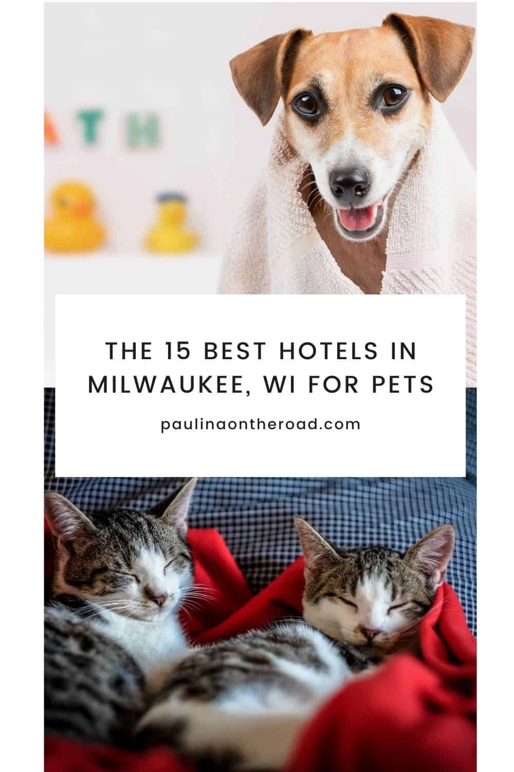 15 Best PetFriendly Hotels in Milwaukee, WI Paulina on the road