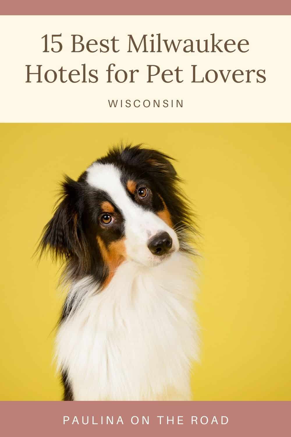 15 Best PetFriendly Hotels in Milwaukee, WI Paulina on the road
