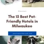 Are you going on vacation to Milwaukee and hoping to bring along your furry friend? Well, you're in luck because there are a lot of great hotels in Milwaukee that allow dogs, cats, birds, and more! The pet-friendly hotels in Milwaukee, Wisconsin provide amazing amenities for your pet liked treats and toys, and even comfy beds for them to sleep in. Milwaukee is also full of pet-friendly activities. #Milwaukee #Pets #PetFriendly #Dogs #Cats #Animals #Wisconsin #Cuddly #PetVacation #PetHotel