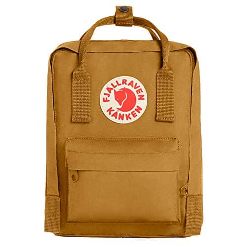 41RVtD8UAPL. SL500 - 15 Best Brands for Vegan Backpacks
