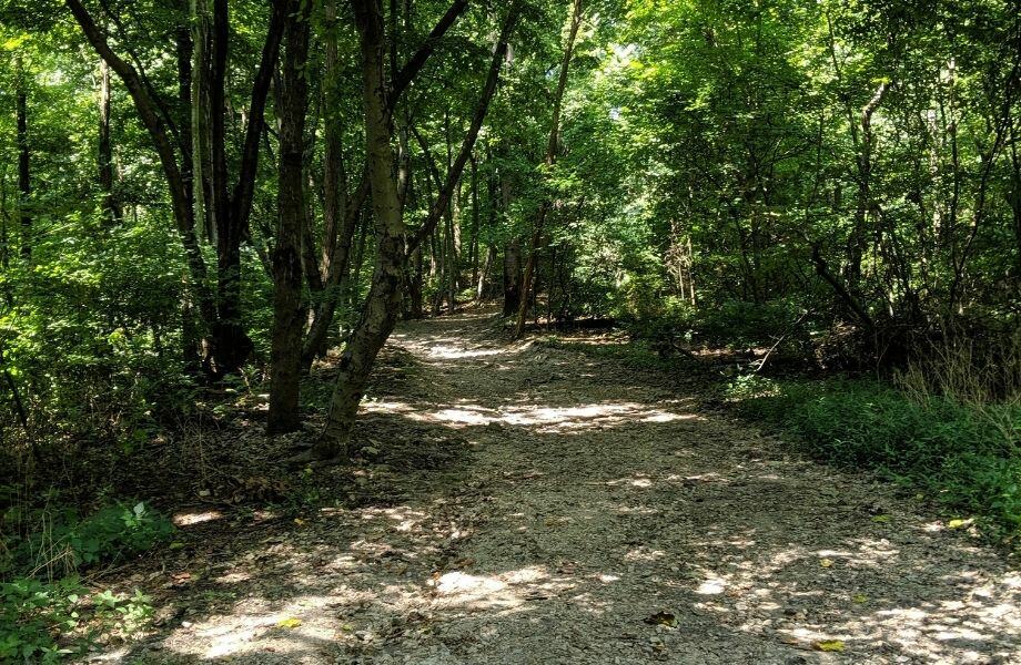 scenic hiking trails in northern wisconsin, hiking path shaded by trees