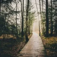 best northern wisconsin hiking, wooden boardwalk hiking path through trees