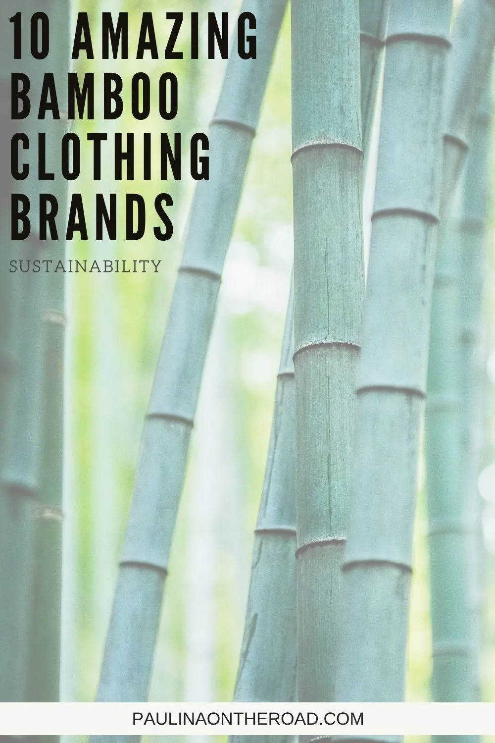 Sustainability is a way of life that we all must embrace for a healthier planet and a better tomorrow. Fortunately, bamboo clothing is not only sustainable, but more popular than ever! This guide has all the best bamboo clothing brands for a more eco-friendly lifestyle. These brands have everything from cute bamboo t-shirts and activewear to jackets and jeans. #Bamboo #BambooClothing #Sustainability #EcoFriendly #ResponsiblySourceed #Ethical #EcoWear #PlanetBased #Sustainable #BambooBrands