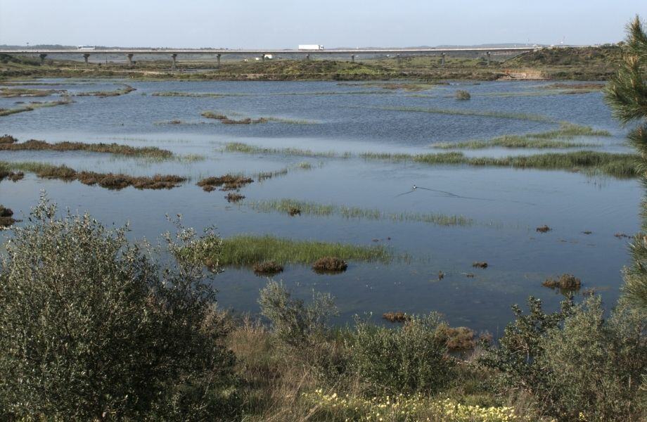 beautiful nature walks in algarve, view of the Castro Marim Nature Reserve with traffic bridge in background