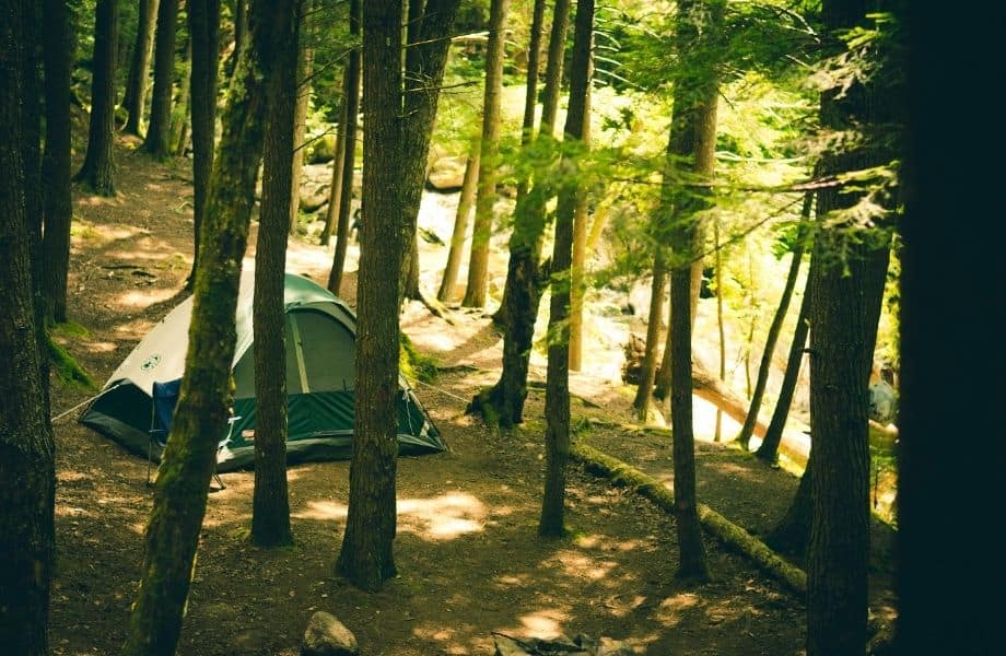 best campgrounds in Wisconsin Dells, single tent hidden by trees in the woods