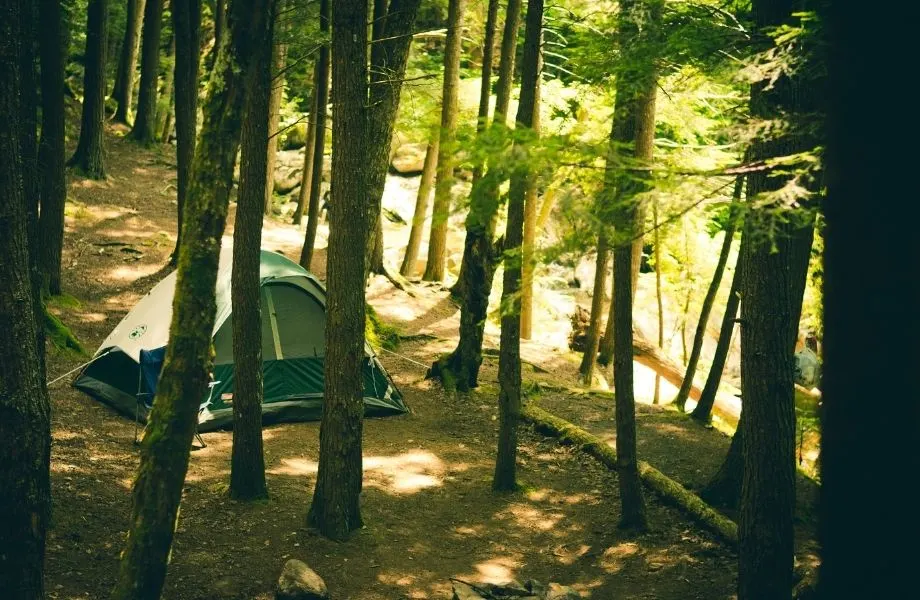 best campgrounds in Wisconsin Dells, single tent hidden by trees in the woods