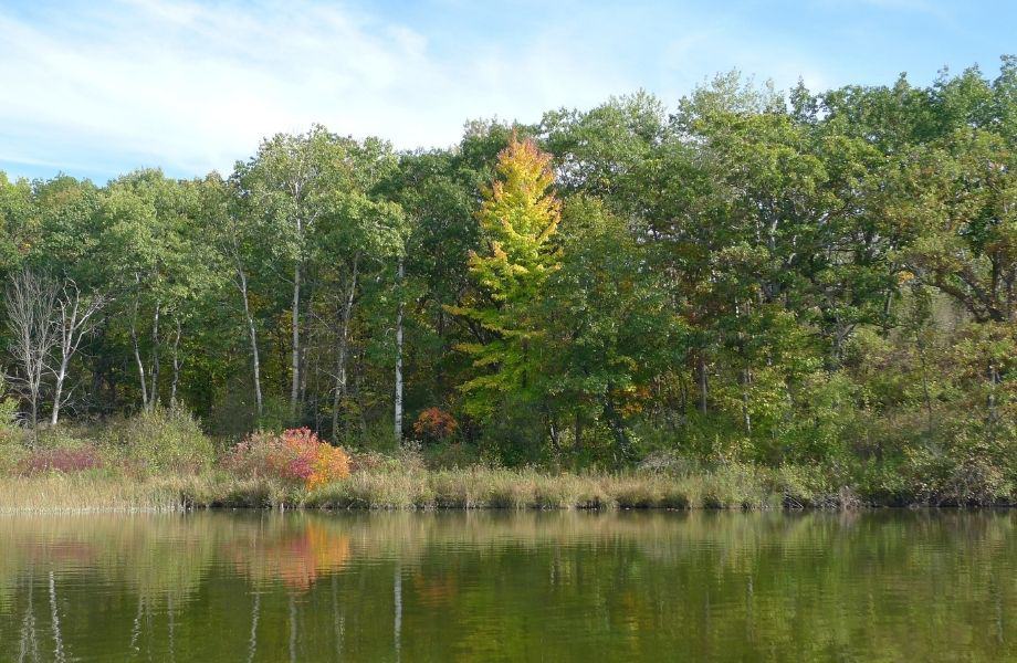 southern wisconsin state parks, lake surrounded by trees starting to turn orange and yellow