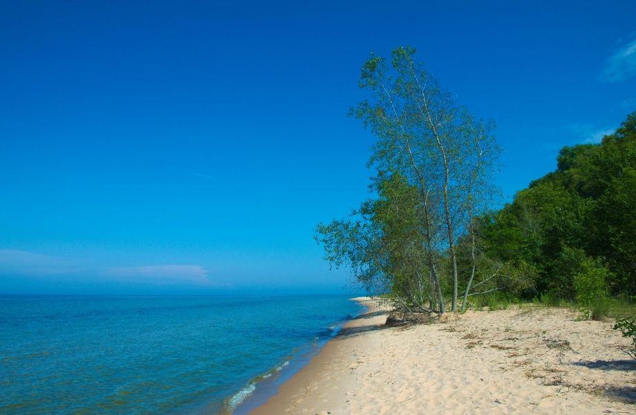 wisconsin state parks on lake michigan, sunny beach surrounded by trees