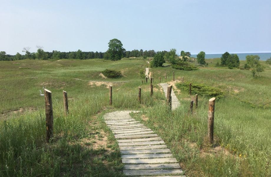 a wooden walkway leading to a grassy area with a beach in the distance