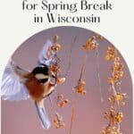 Looking forward to spending your spring break in Wisconsin, but stressing over what to do? Don't worry, this guide has all the best spring break destinations in Wisconsin and fun things to do in Wisconsin in spring for families, couples, and even bored college kids. The article includes big city breaks, nature breaks, and everything in between, as well as where to stay in each area. #Wisconsin #SpringBreak #Spring #WisconsinDells #Milwaukee #LaCrosse #DoorCounty #Hiking #Nature #USATravel