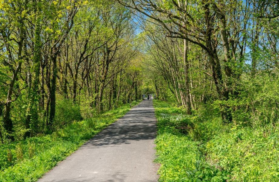 Top Door County biking trails, two bikes in distance on paved trail surrounded by trees and grass