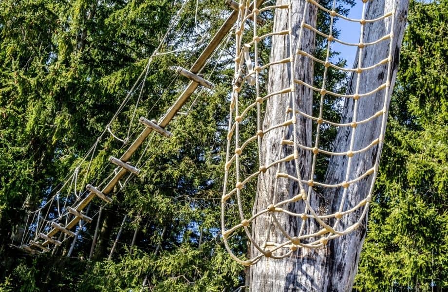 fun things to do in Albufeira with kids, rope bridge connecting tress