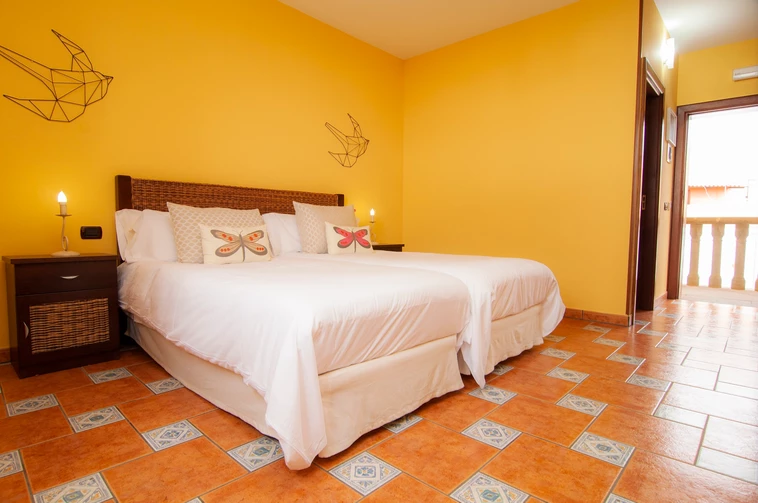 Budget spa hotels in Tenerife, simple room with two beds and bedside table and walls painted yellow with two geometric birds