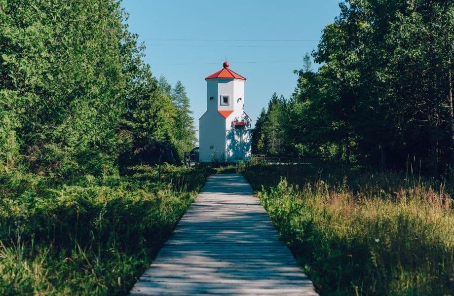 wooden boardwalk surrounded by trees leading up to small red and white lighthouse