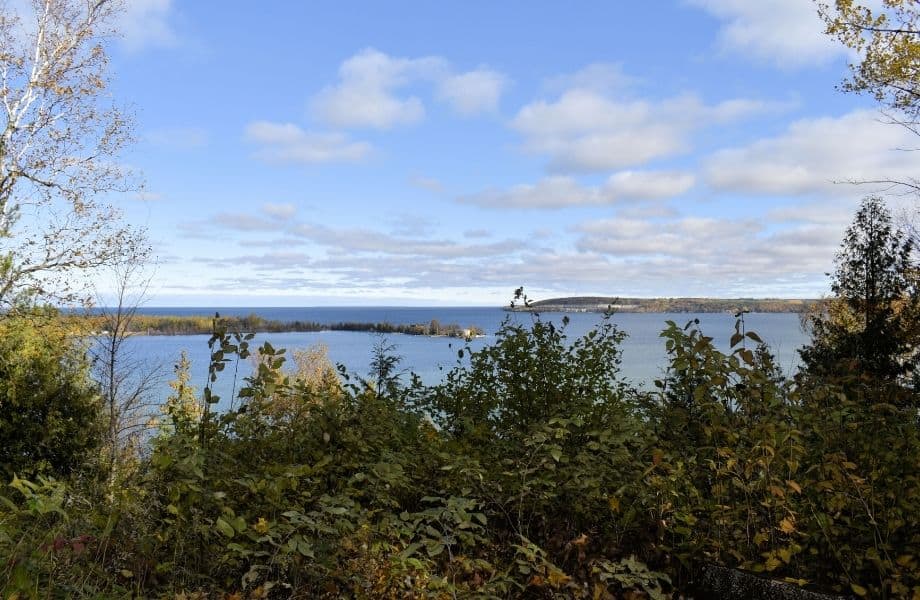 view over Sturgeon Bay with tree tops on the foreground on clear sunny day