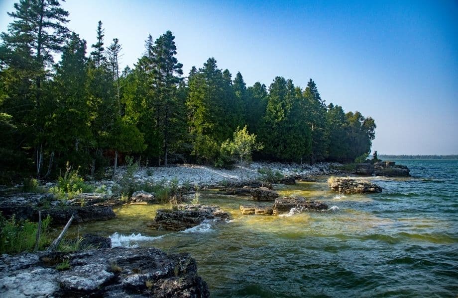 rocky coastline lined with trees under a blue sky