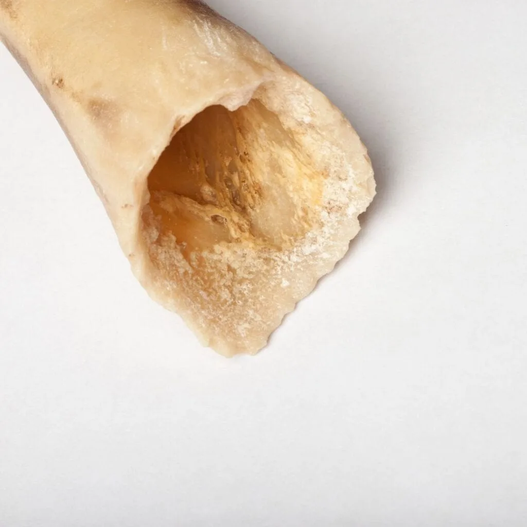 a large piece of bone on a white surface