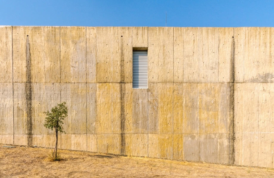 Things to do in north Portugal, minimalist framing of a beige stone wall with single small green shrub and single thin shuttered window