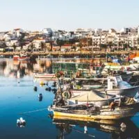 view of town with many white buildings from water, many small fishing boats in water between photographer and town