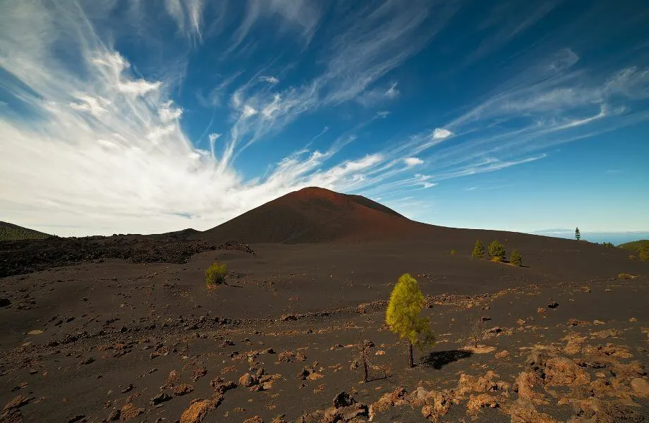 unique Tenerife hiking trails, desert covered in dark reddish-brown sand and a few small trees with a red-brown mountain in distance on a sunny day