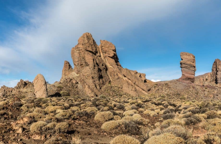 best hikes in Tenerife, rock formations in a rocky desert covered in desert plants on a sunny day